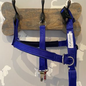 Walkezee Non-Pull Dog Harness Package